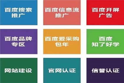 竞价推广实战：经典案例深度解析